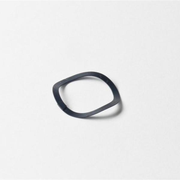 spring washer